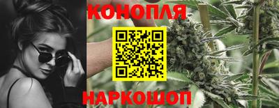 шишки Апрелевка