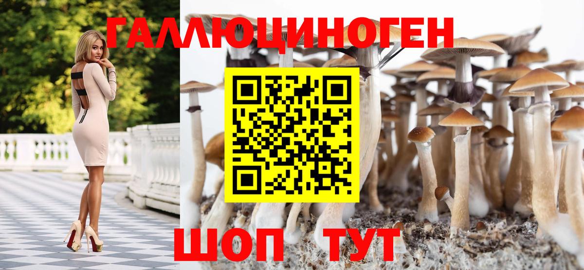 АМФЕТАМИН Владимир
