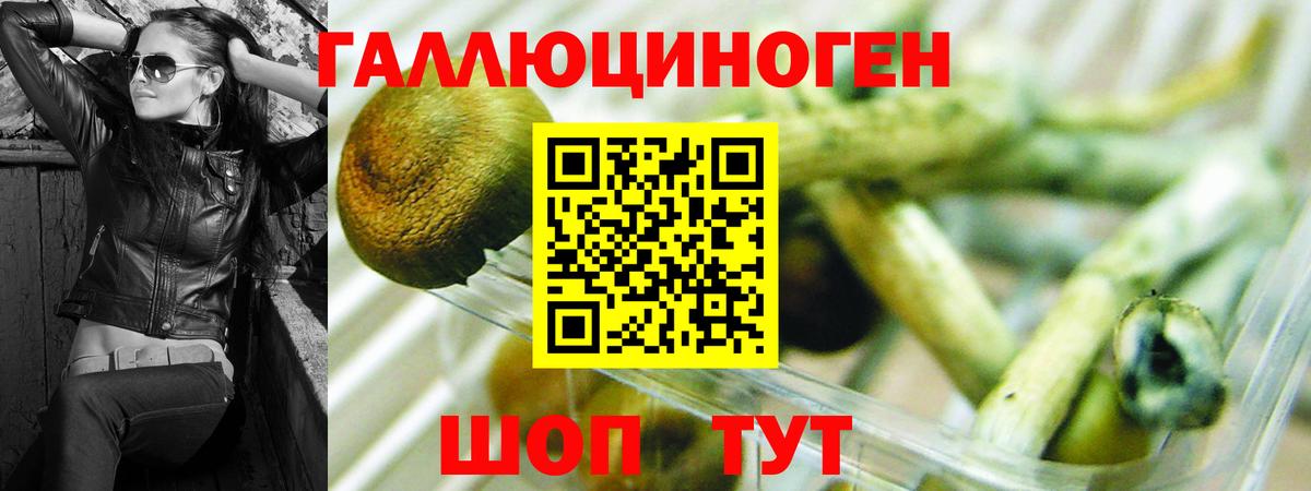 Псилоцибиновые грибы GOLDEN TEACHER Владимир