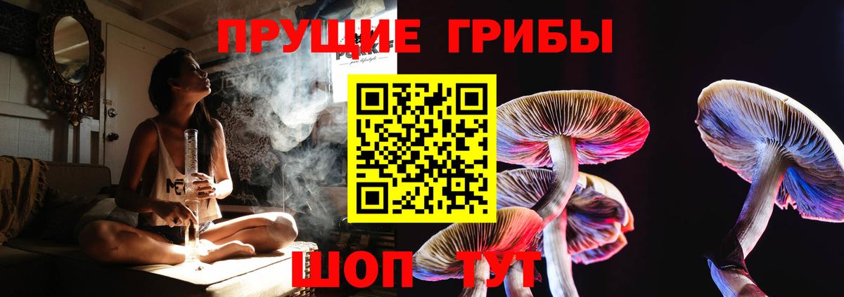 Галлюциногенные грибы ЛСД  Псилоцибиновые грибы прущие грибы  Вход с VPN  Владимир 